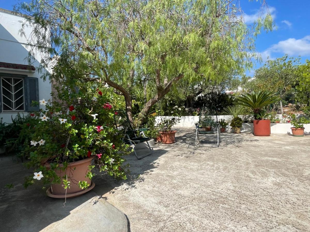 Villa Gioia Ostuni Exteriér fotografie
