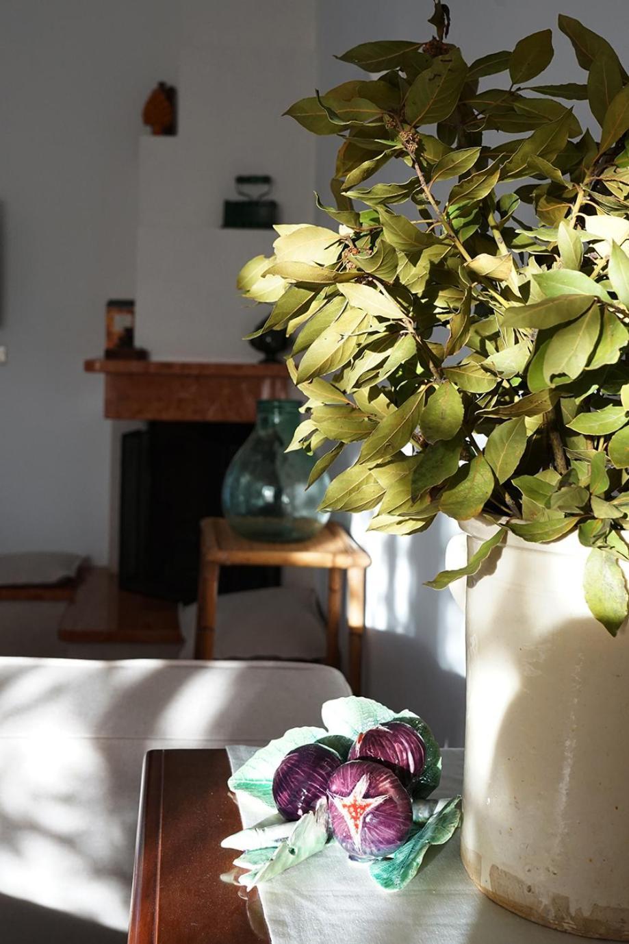 Villa Gioia Ostuni Exteriér fotografie